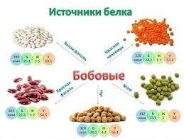 Источник белка: Бобовые | Dog food recipes, Healthy food inspiration, Food